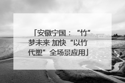 安徽宁国：“竹”梦未来 加快“以竹代塑”全场景应用